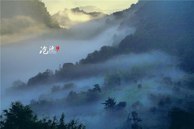 相互吞噬选关版