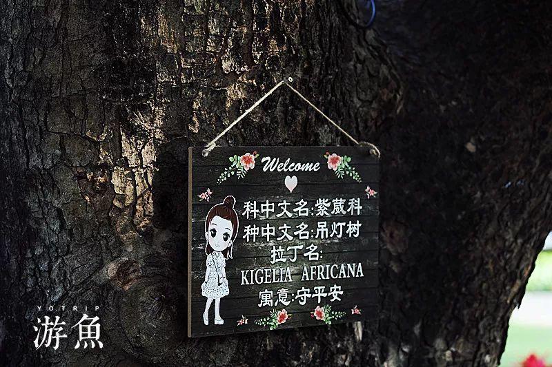 濮阳市第八中学第二党支部召开 2023年度组织生活会暨民主评议党员大会