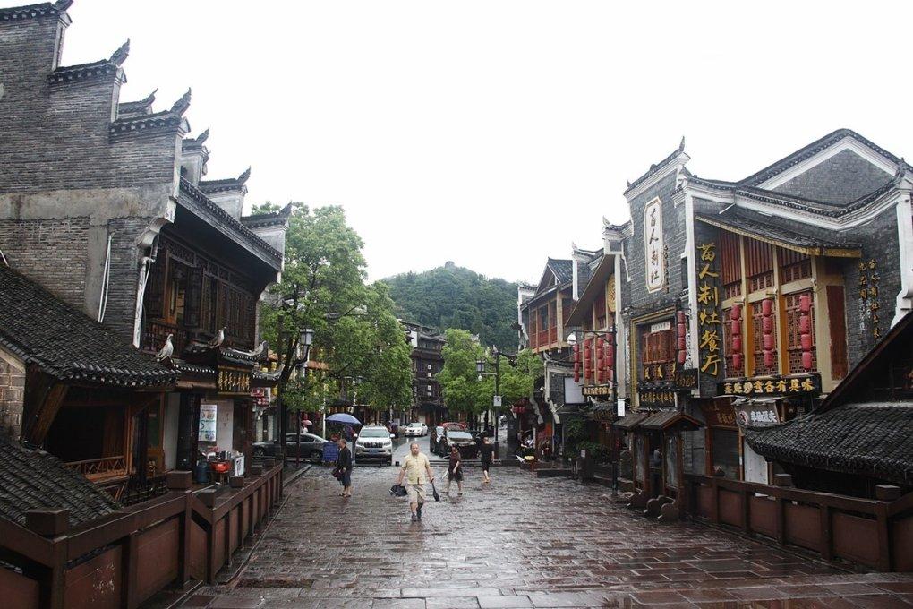 营救小乌龟