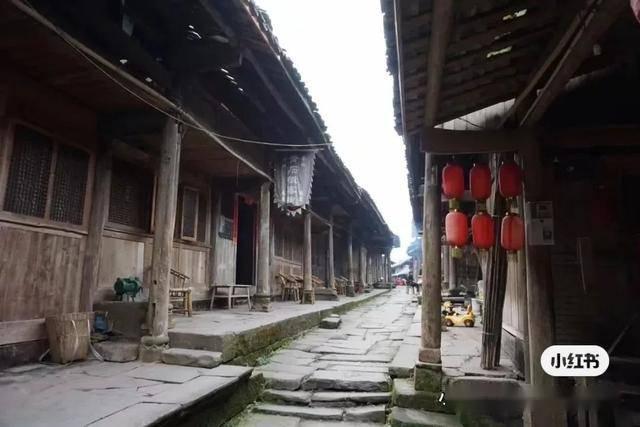 双流学子钟禹新入选女足国家队,将代表中国参加亚洲杯!