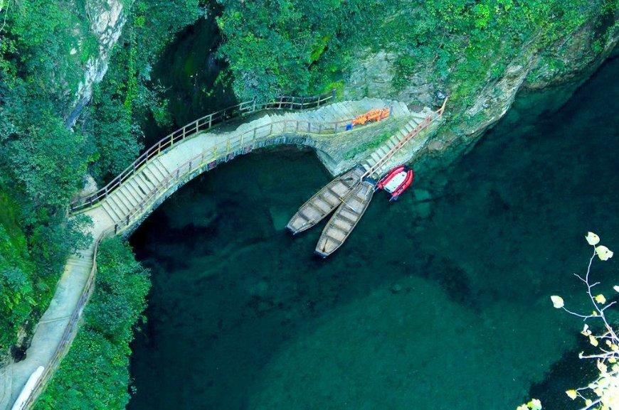 怪物猎人：世界